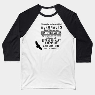 Birds Flight Baseball T-Shirt